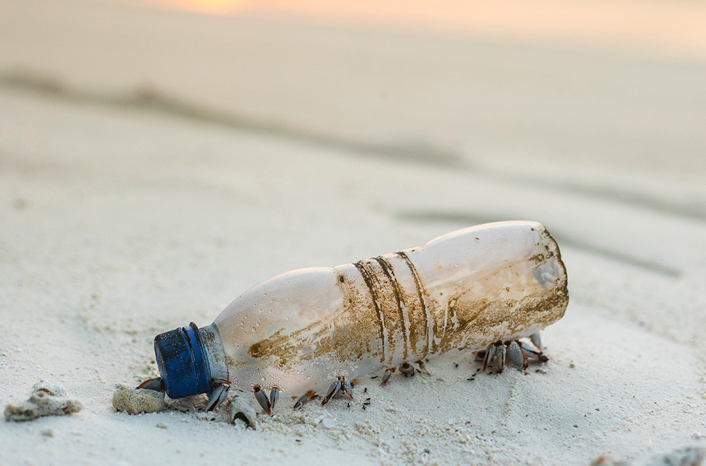 Plastic Bottle Waste