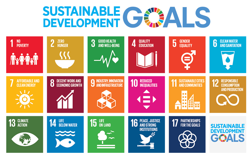 17 Sustainable Development Goals