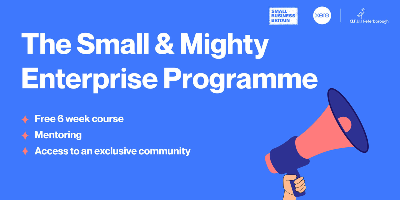 Small & Mighty Programme